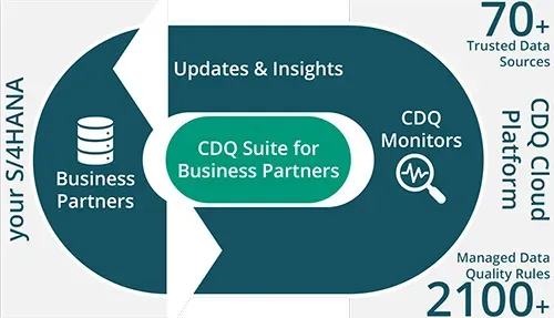 Continuous monitoring of S4HANA Business Partners